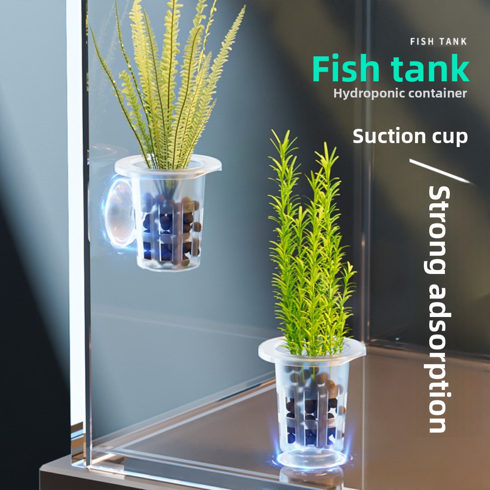 Hydroponic Grow Pod - 10Pcs 투명 식물 수경 재배 냄비