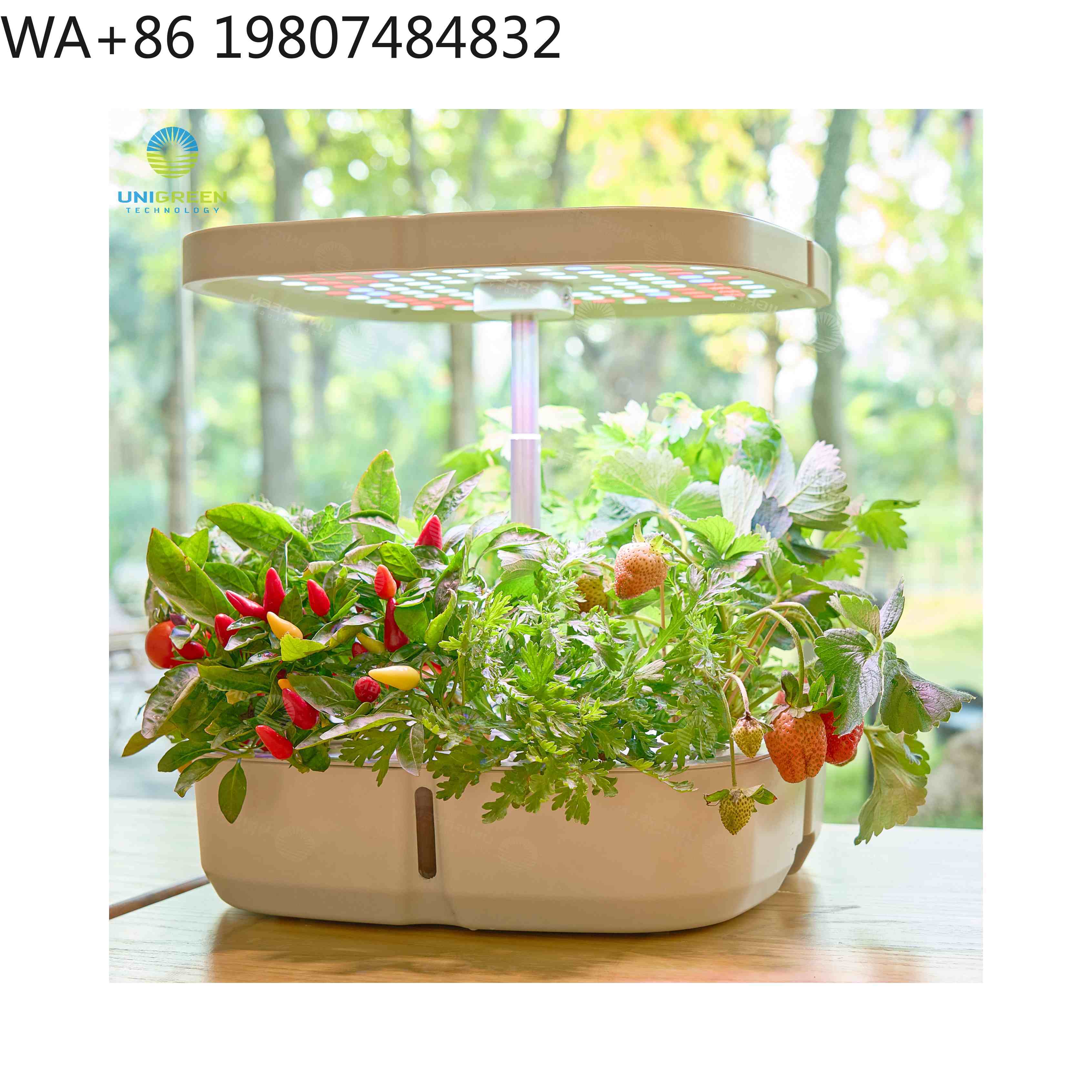 Hydroponic Grow Pod - 8포드 미니 수경재배 상자, 풀 스펙트럼