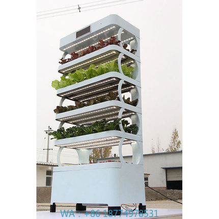 Smart Garden Indoor - 가정용 수경재배 시스템 신제품 실내 스마트