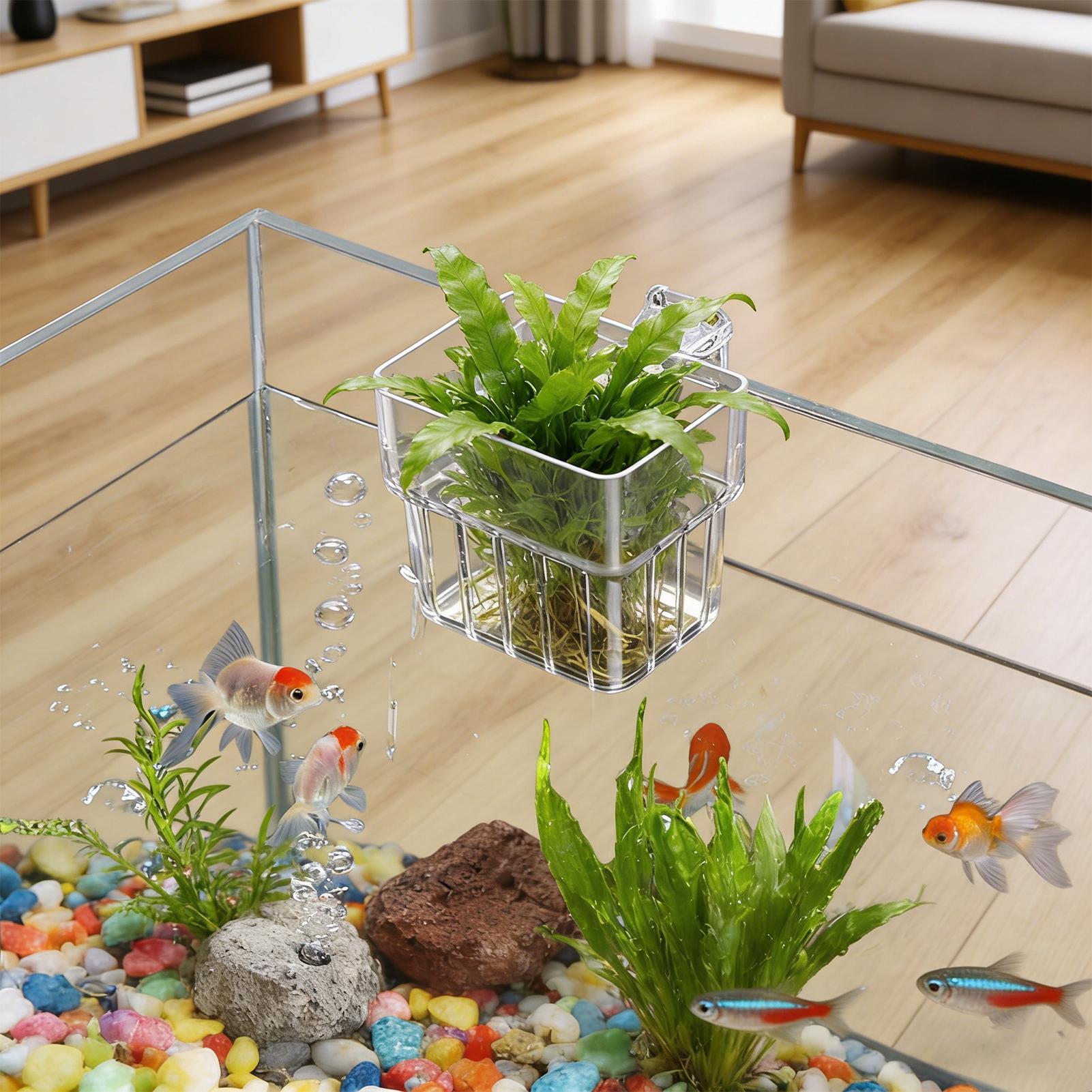 Hydroponic Grow Pod - 투명한 걸이식 수족관 식물 홀더 화분,