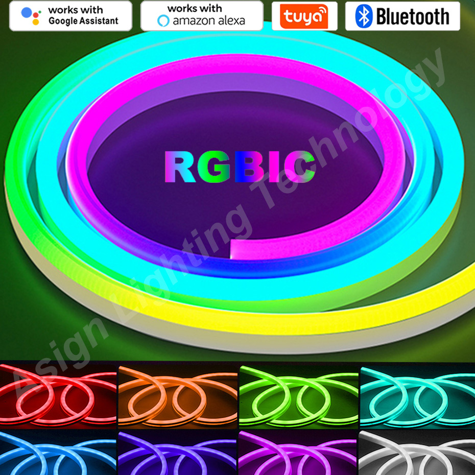 Smart Led Garden - RGBIC LED 네온 스트립 12V 96LED/M