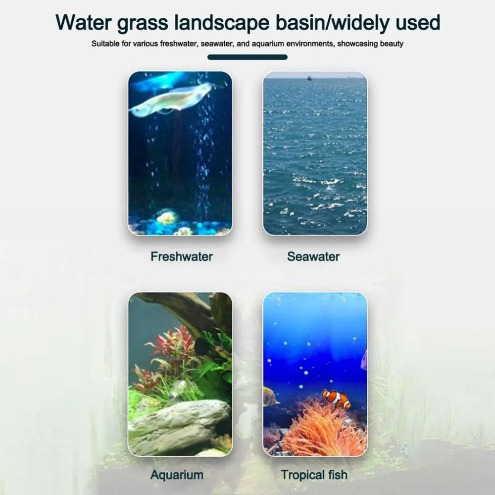 10Pcs 투명 식물 수경 재배 냄비 플라스틱 흡입 베 - Hydroponic Grow Pod 리뷰 및 가격