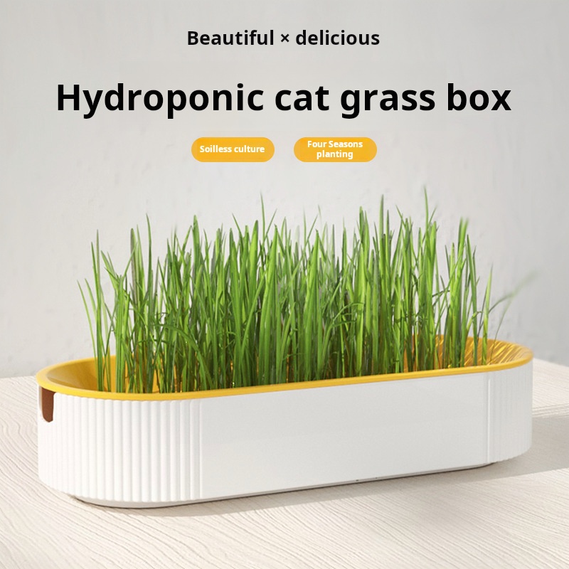 쉽게 성장시키는 수경 재배 고양이 잔디 상자형 재배기  - Hydroponic Grow Pod 리뷰 및 가격