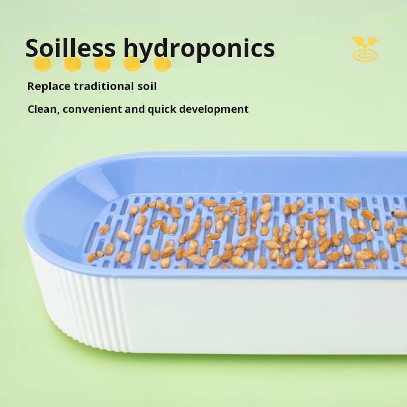 쉽게 성장시키는 수경 재배 고양이 잔디 상자형 재배기  - Hydroponic Grow Pod 리뷰 및 가격