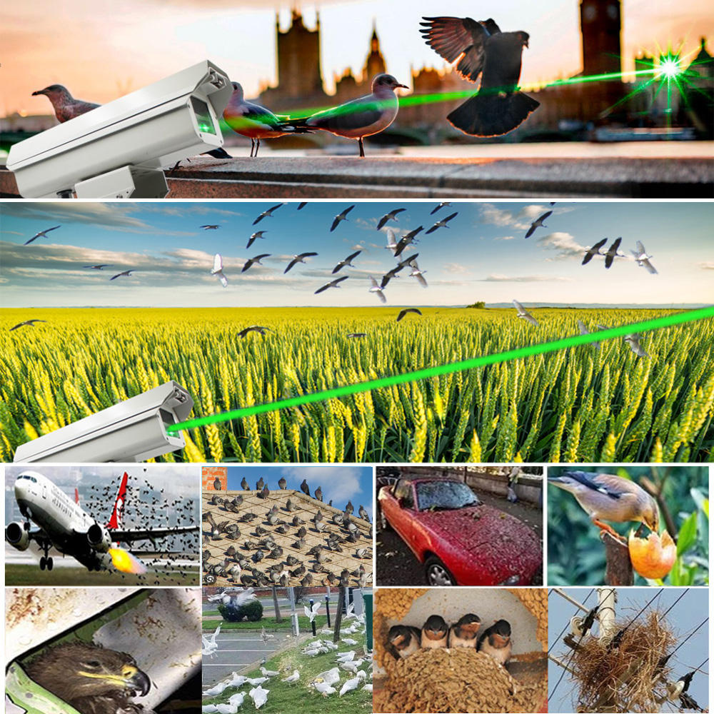 스마트 조류 퇴치기 강력한 그린 AI 트리거 레이저 공 - Smart Garden Usa 리뷰 및 가격