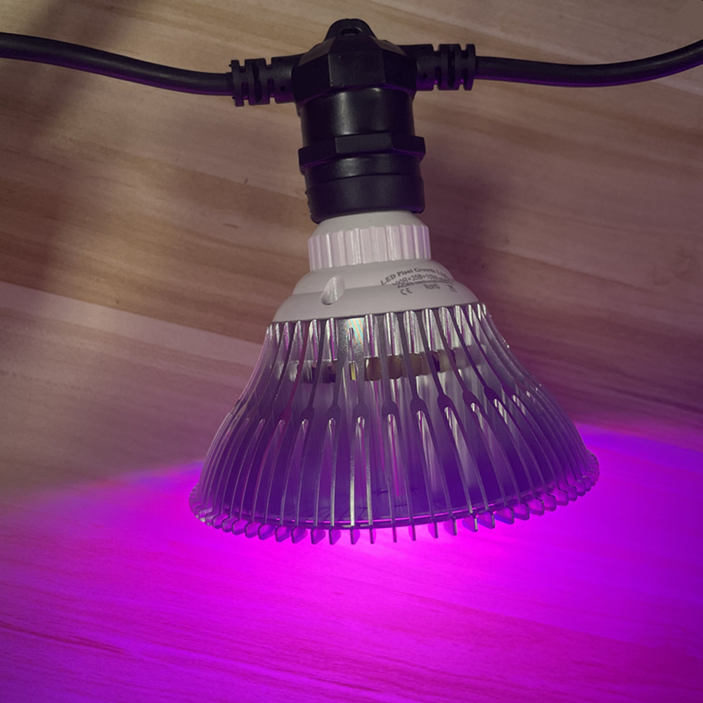 10M 케이블 LED 스트링 조명, 상업용 등급 방수, - Smart Garden Lamp 리뷰 및 가격