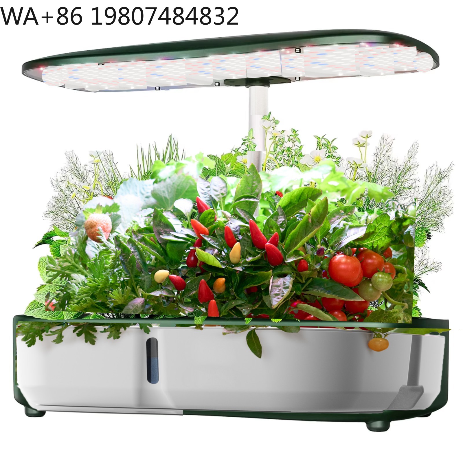 8포드 미니 수경재배 상자, 풀 스펙트럼 조절 가능 L - Hydroponic Grow Pod 리뷰 및 가격