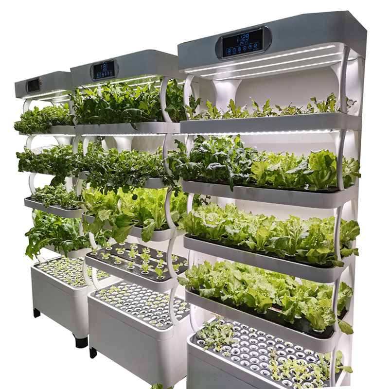 실내 스마트 저비용 수경재배 수직 정원 수경식물 채소  - Smart Garden Indoor 리뷰 및 가격