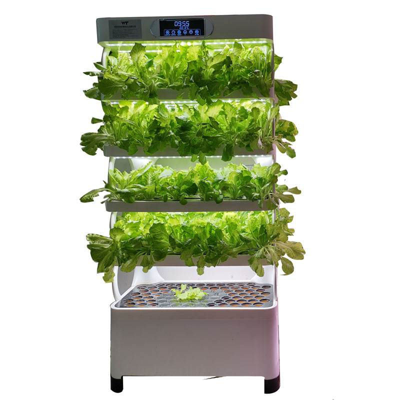 실내 스마트 저비용 수경재배 수직 정원 수경식물 채소  - Smart Garden Indoor 리뷰 및 가격