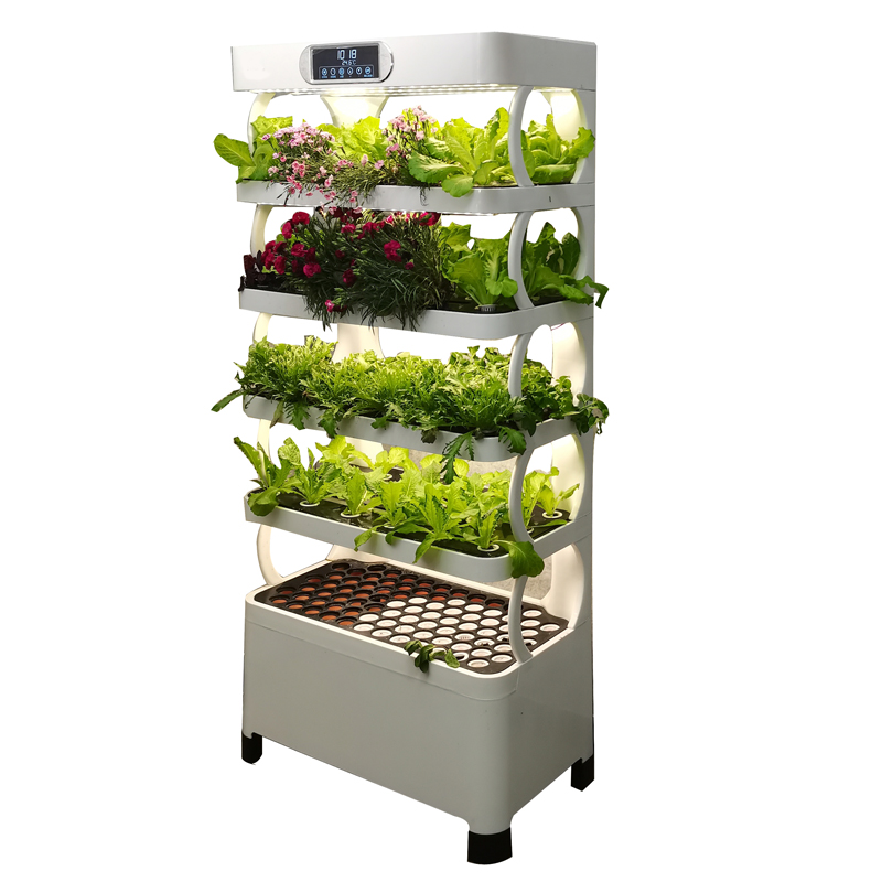 실내 스마트 저비용 수경재배 수직 정원 수경식물 채소  - Smart Garden Indoor 리뷰 및 가격