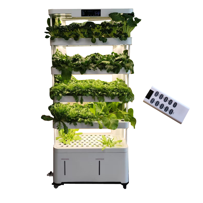 실내 스마트 저비용 수경재배 수직 정원 수경식물 채소  - Smart Garden Indoor 리뷰 및 가격