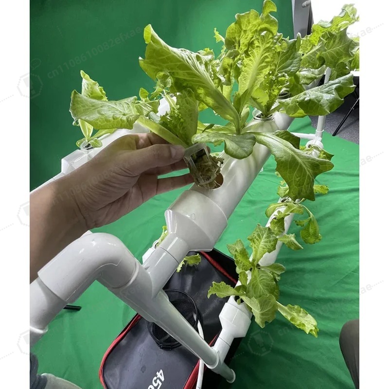 NFT 채널 수경재배 시스템, 2단, 72홀, 채소 재 - Smart Garden Hanging Baskets 리뷰 및 가격