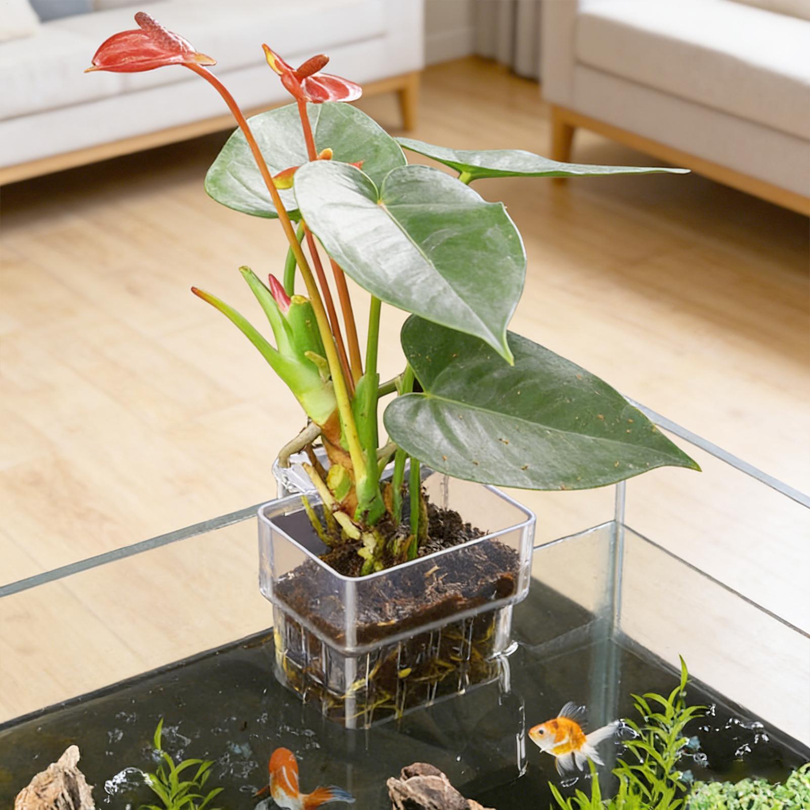 투명한 걸이식 수족관 식물 홀더 화분, 어항 수경재배  - Hydroponic Grow Pod 리뷰 및 가격