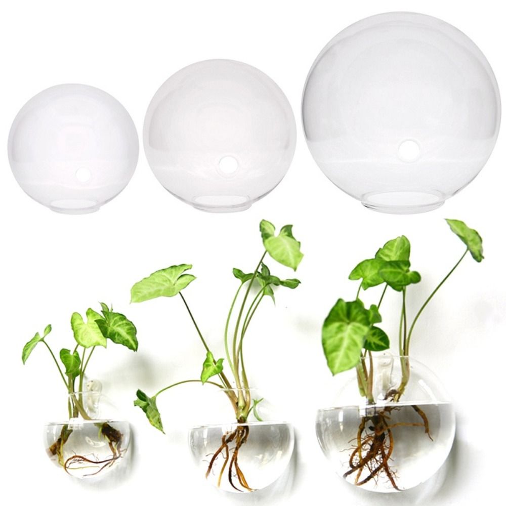 투명 유리 꽃병 벽걸이 수경 테라리움 수조, 화분에 심 - Hydroponic Grow Pod 리뷰 및 가격