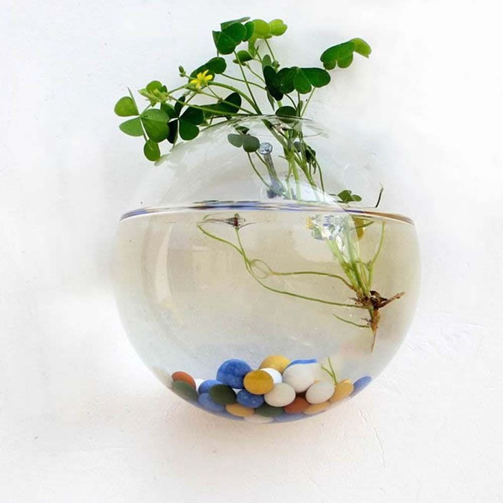 투명 유리 꽃병 벽걸이 수경 테라리움 수조, 화분에 심 - Hydroponic Grow Pod 리뷰 및 가격