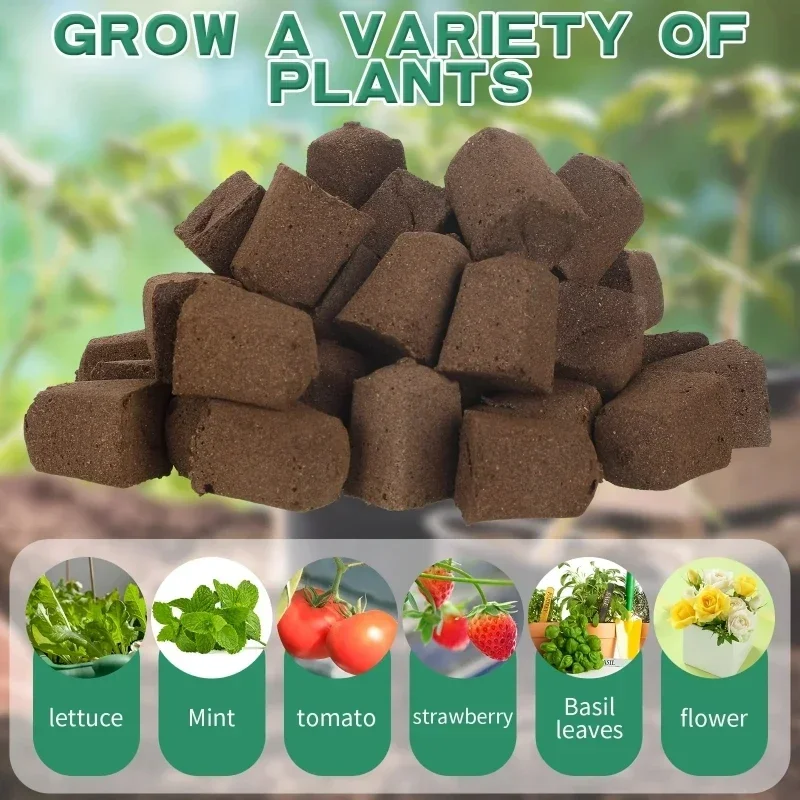 수경 실내 정원 시스템용 묘목 스타터 스펀지 키트, 성 - Hydroponic Grow Pod 리뷰 및 가격