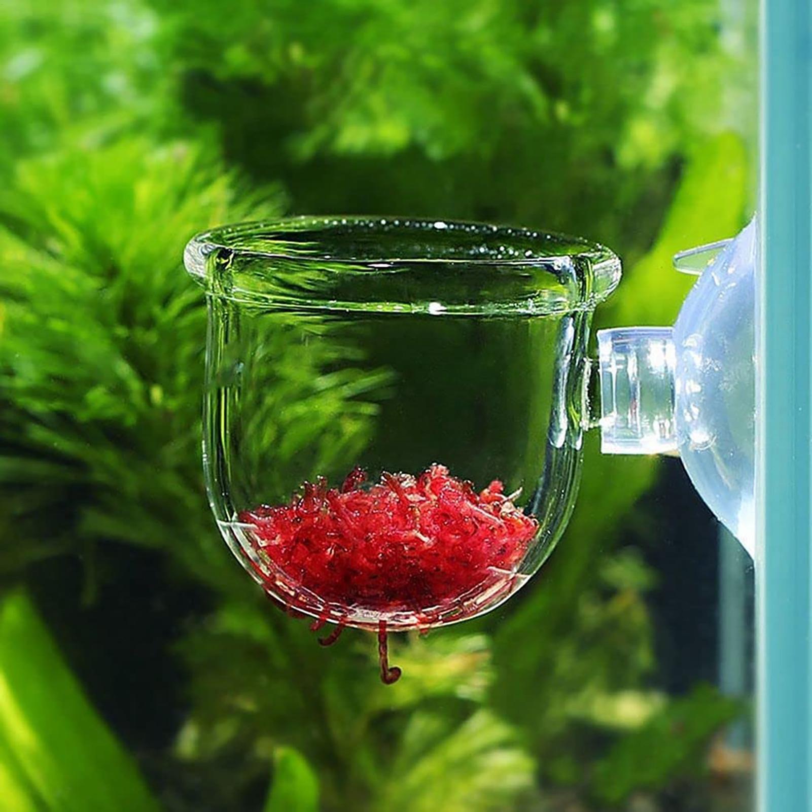 수생 식물 화분 흡착 컵이 있는 투명 아크릴 수족관 화 - Hydroponic Grow Pod 리뷰 및 가격