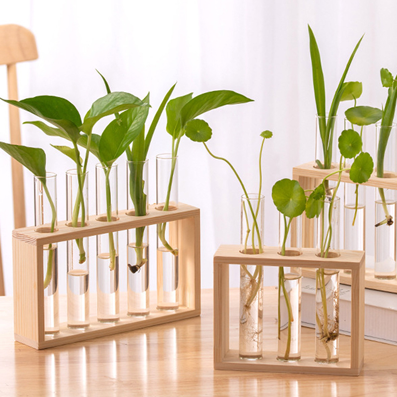 나무 프레임과 수경 식물 컨테이너 투명 유리 테스트 튜 - Hydroponic Grow Pod 리뷰 및 가격