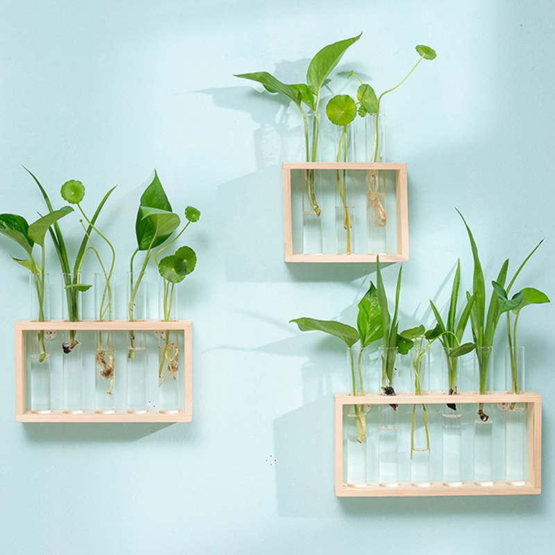 나무 프레임과 수경 식물 컨테이너 투명 유리 테스트 튜 - Hydroponic Grow Pod 리뷰 및 가격