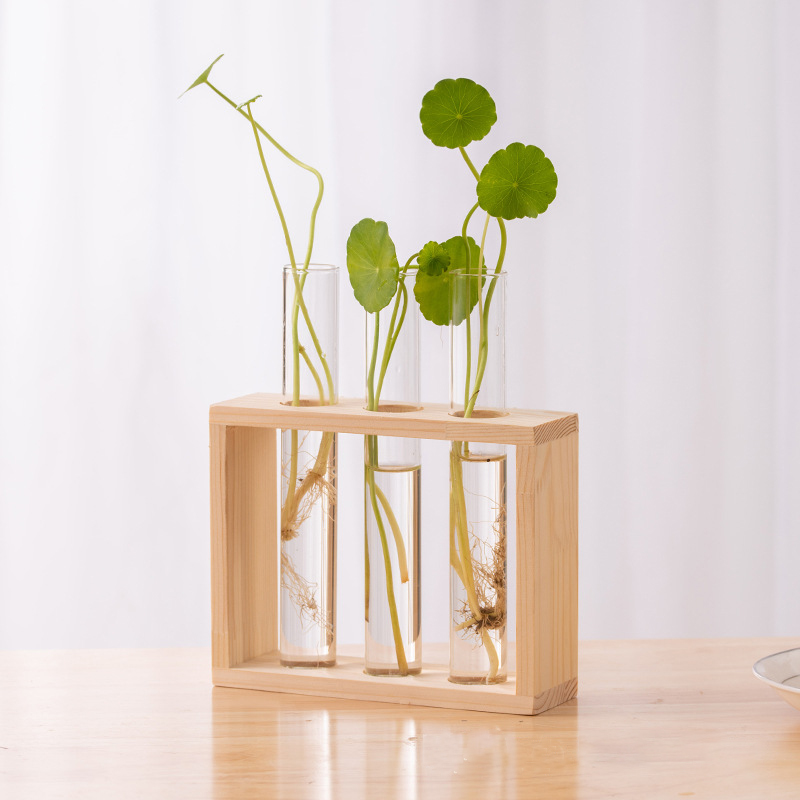 나무 프레임과 수경 식물 컨테이너 투명 유리 테스트 튜 - Hydroponic Grow Pod 리뷰 및 가격