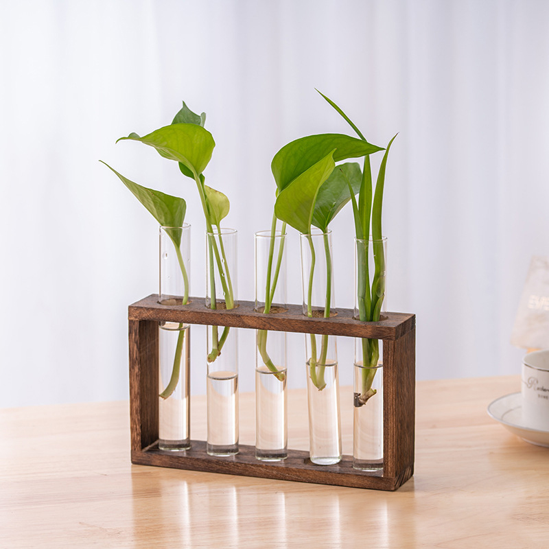 나무 프레임과 수경 식물 컨테이너 투명 유리 테스트 튜 - Hydroponic Grow Pod 리뷰 및 가격
